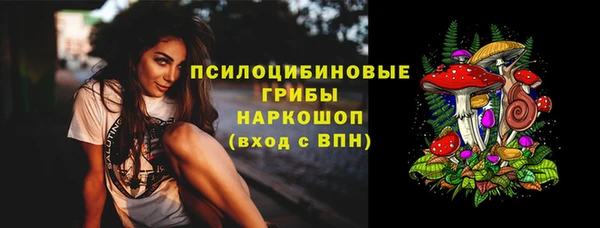 apvp Алзамай