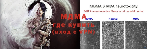 apvp Алзамай