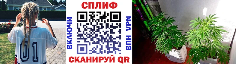 Канабис Amnesia  закладка  Назрань 